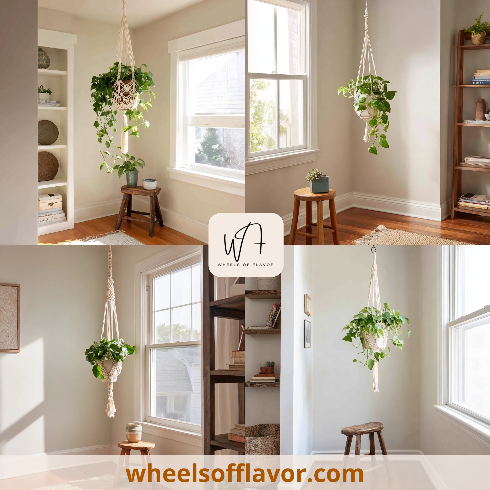 macrame plant hanger ideas