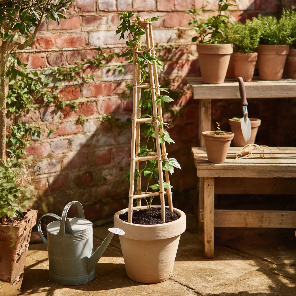 easy diy trellis for potted plants ideas