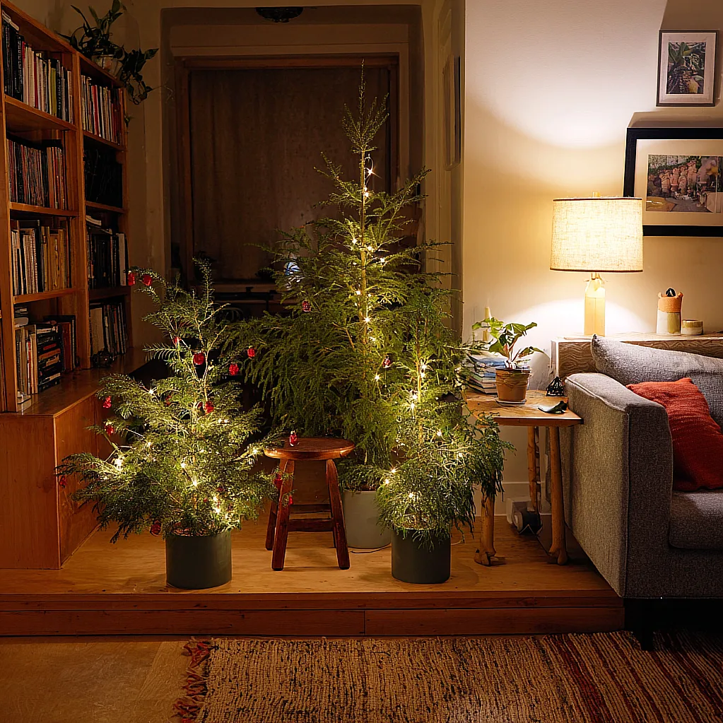 living christmas tree choir